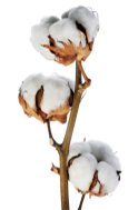 joybed cover layer material is cotton